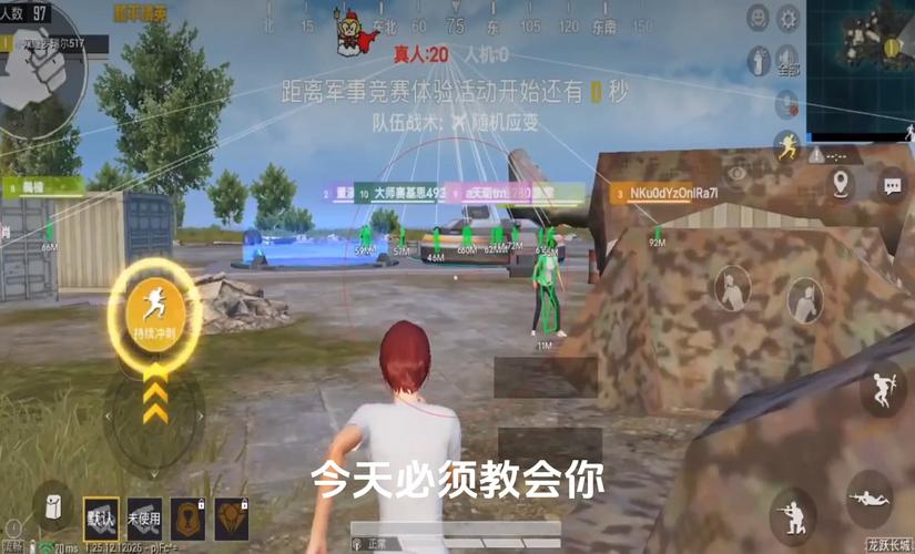 和平精英外挂【豌豆直装V1.0】漏打自瞄 喷子自喵 狙击枪自喵 全枪无死角漏打 追踪扫车打鸟