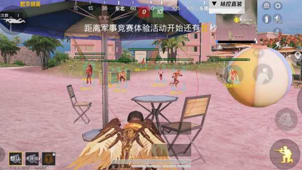 和平精英「毛豆直装」辅助外挂